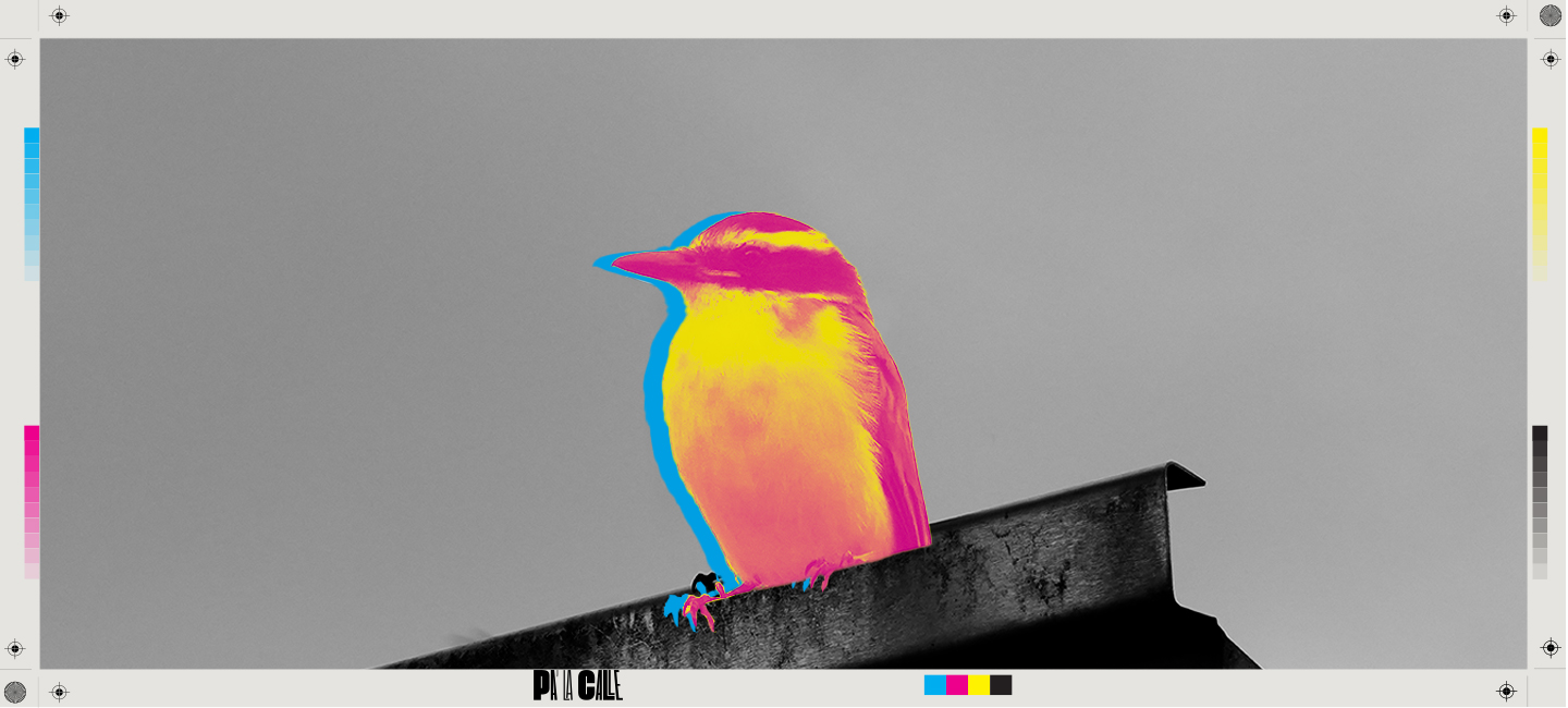 Entre Alas Y Concreto Desktop