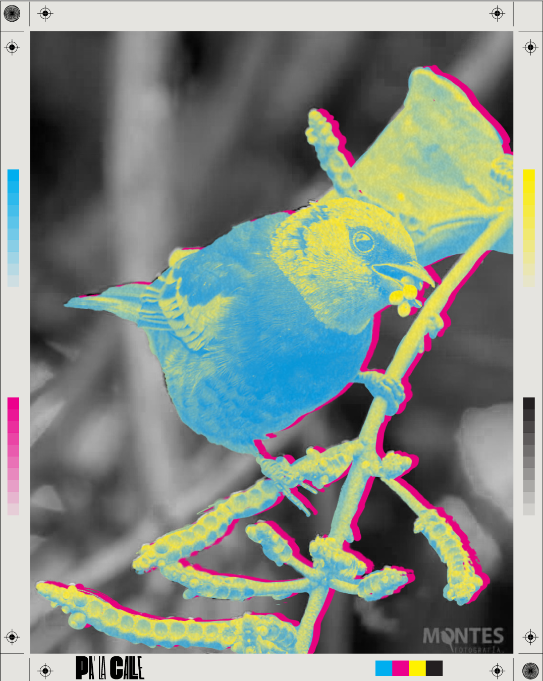 Nos Fui Entre Alas Y Concreto