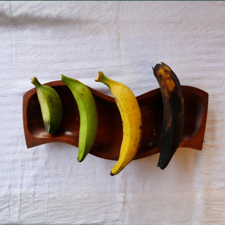 platano web 3 (1)